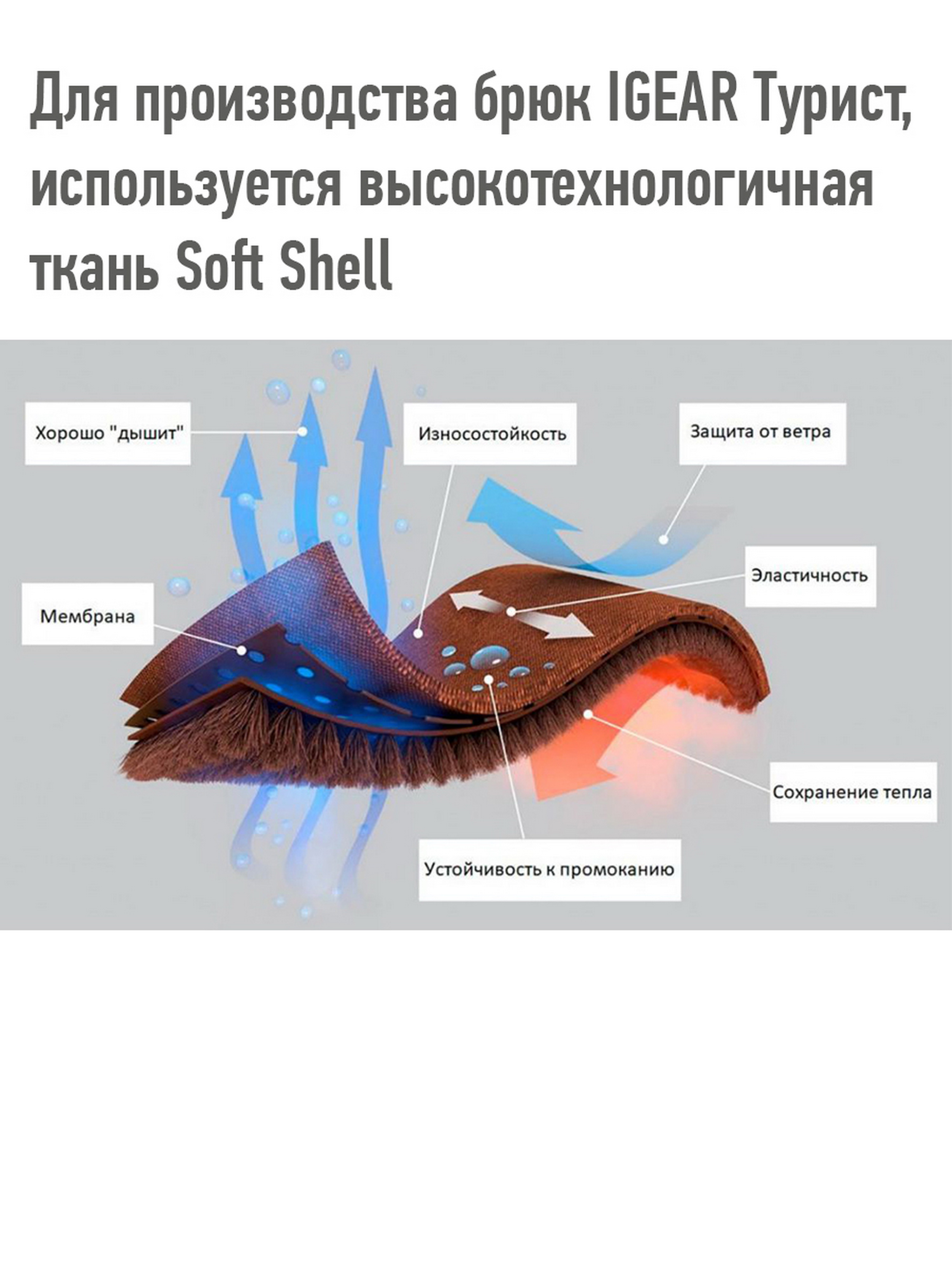 Без имени-8